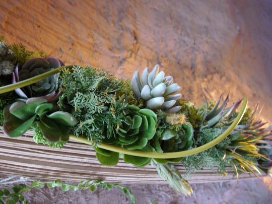 grillwine-dumviva_02