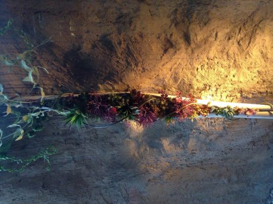 grillwine-dumviva_03